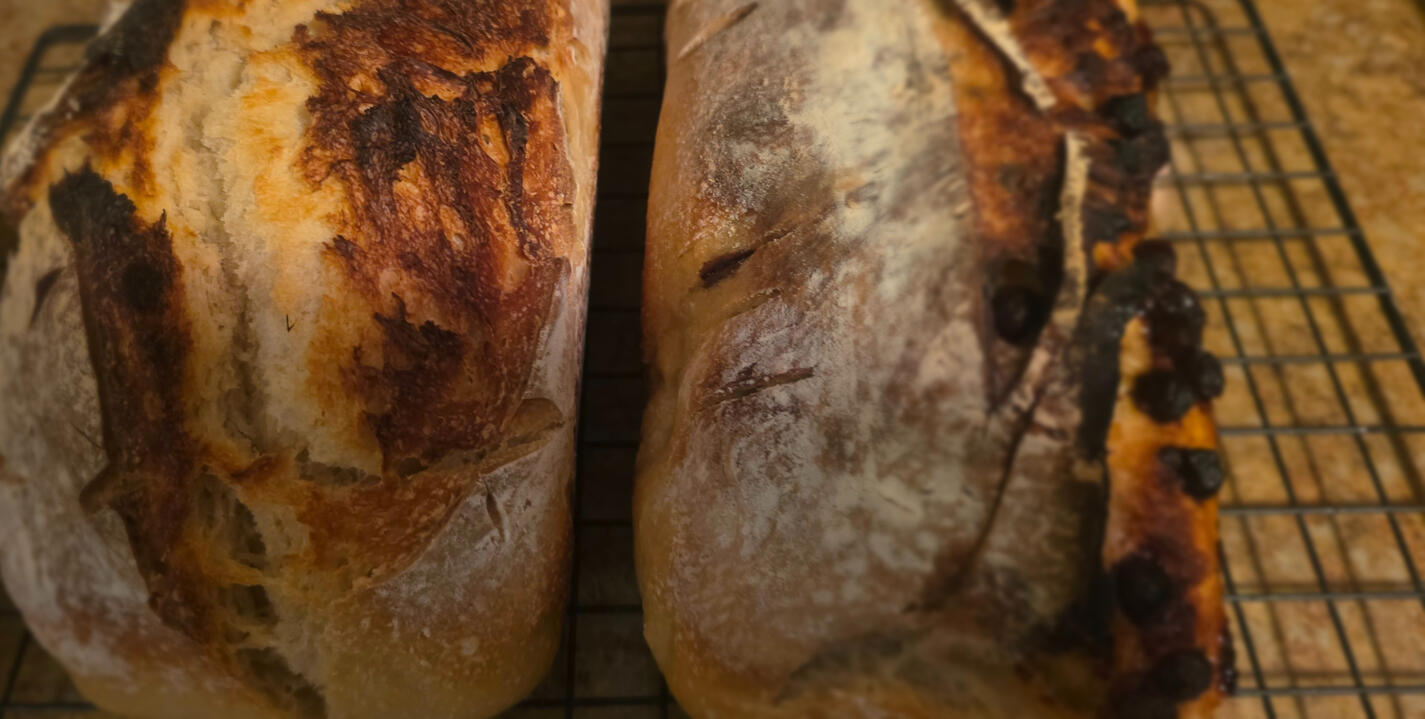 bagels bagels